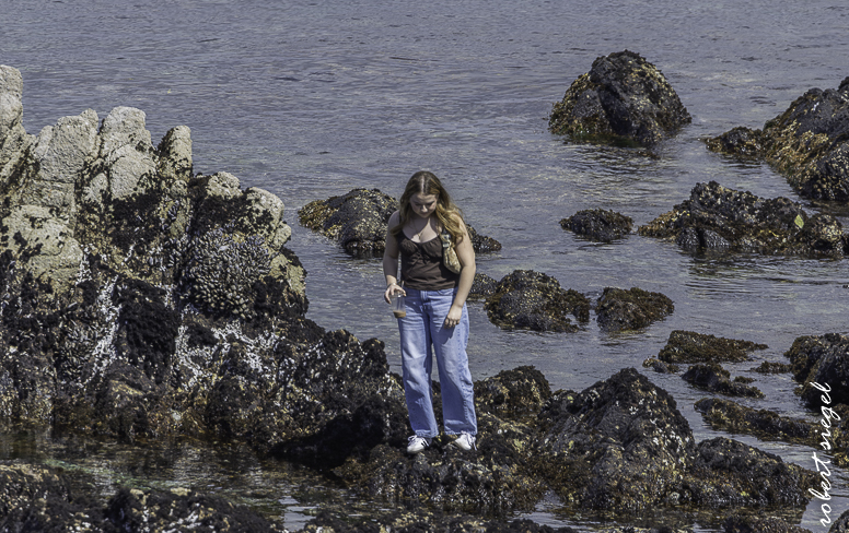 pacificgrove